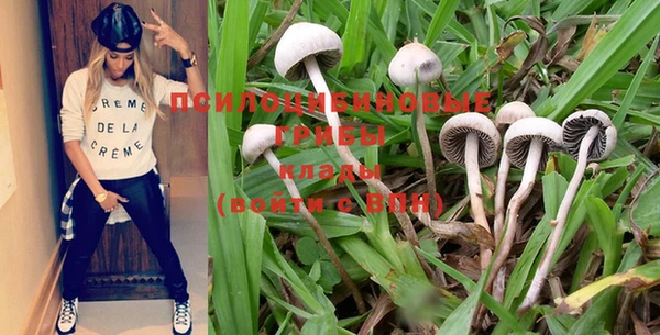 хмурый Алзамай