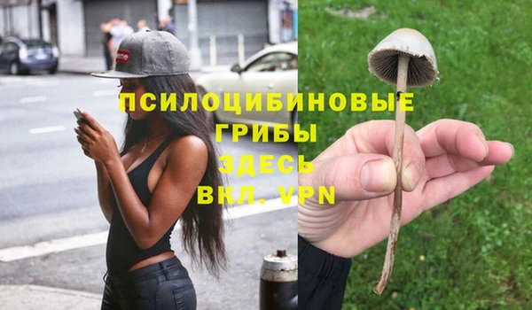 кристаллы Алексеевка