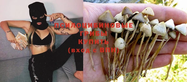 хмурый Алзамай